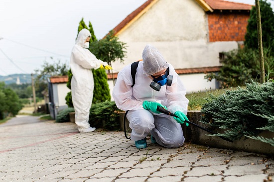 Exterminators outdoors in work wear spraying pesticide with sprayer.