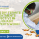 Termite Control in Abu Dhabi