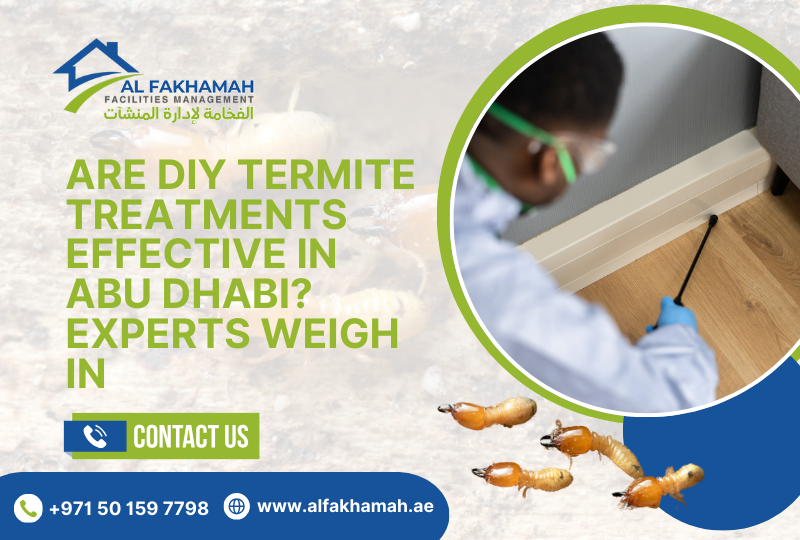 Termite Control in Abu Dhabi